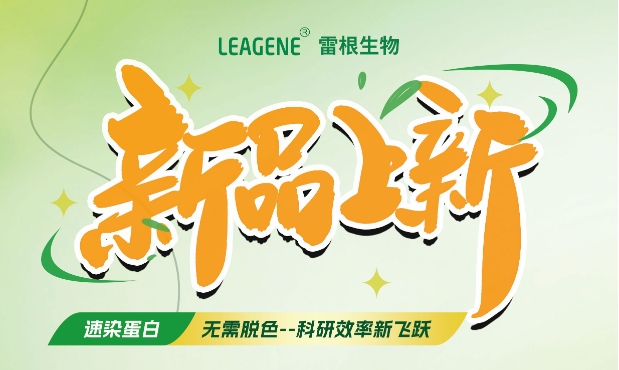 最新力作【考馬斯亮藍(lán)快速染色液（免脫色版）】，正式加入我們的產(chǎn)品家族！